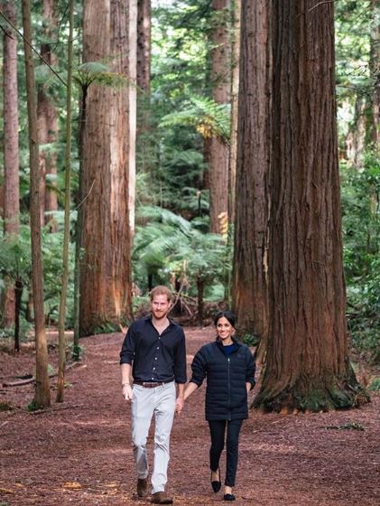 Prins Harry and Meghan Markle in Rotorua Redwoods Sequoia